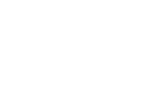 大会概要